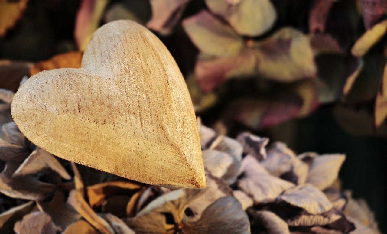 Wooden heart